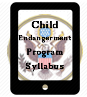 Court Ordered Child Endangerment and Child Abuse Program Provider