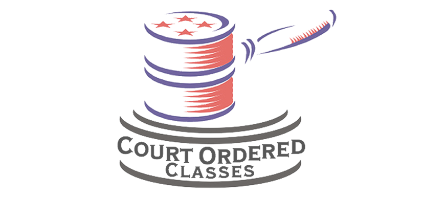 Court Ordered Programs Provided List