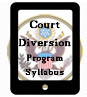 Court Ordered Programs Court Diversion Program Provided